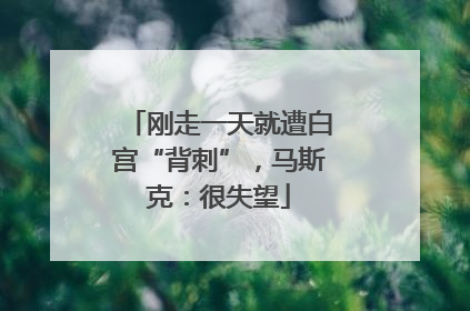 刚走一天就遭白宫“背刺”，马斯克：很失望